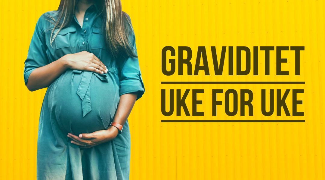 Graviditet uke for uke