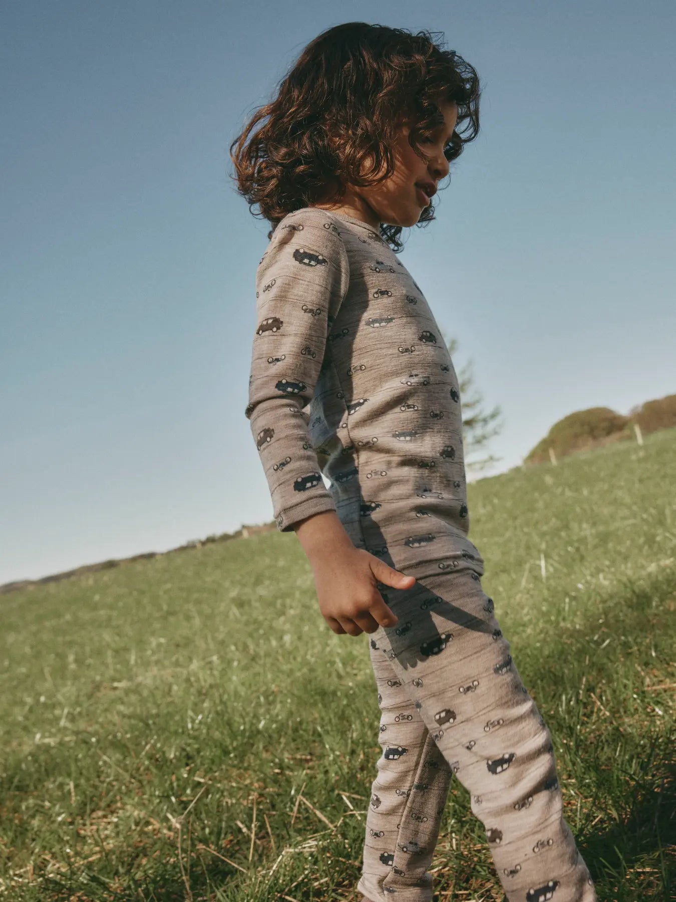 Mini Satellite Highway Longs