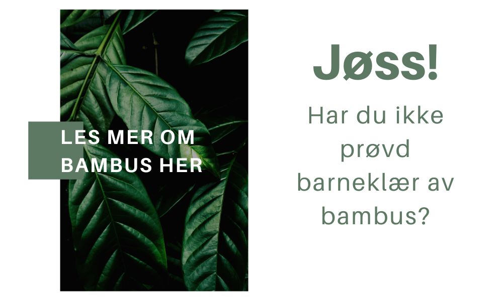 Hust and Claire Bambus